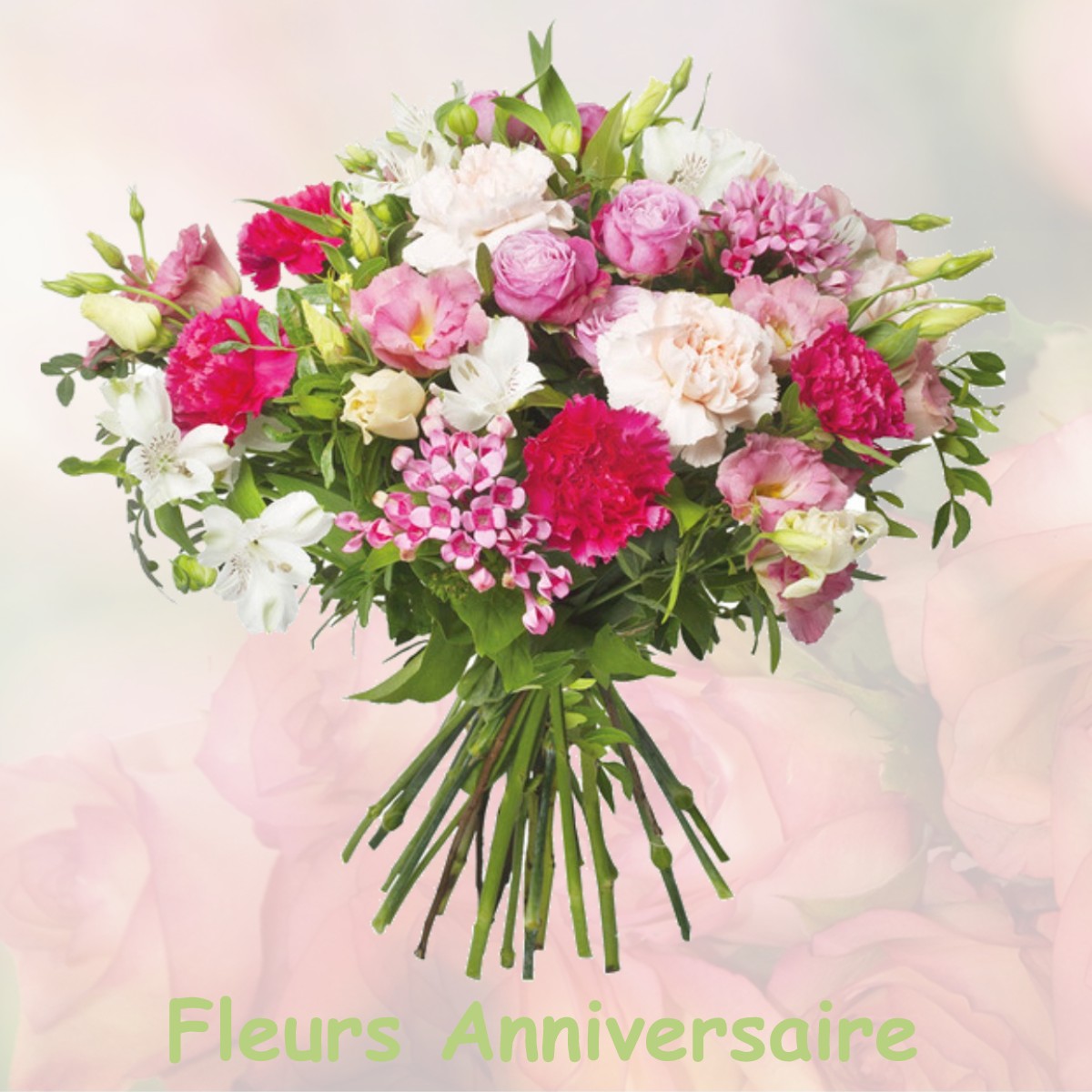 fleurs anniversaire BELLEGARDE-EN-MARCHE